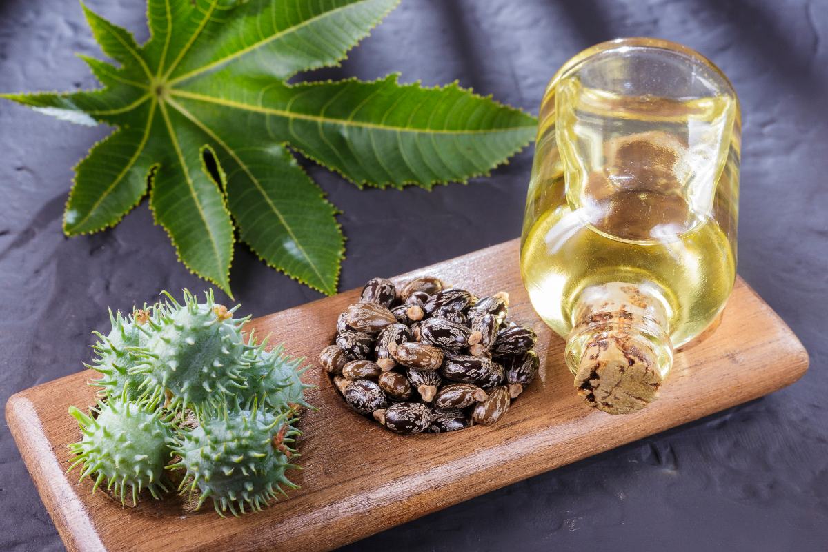 Un flacon d'huile et de graines de ricin